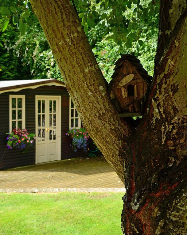 Ashbrook Bed And Breakfast Llandudno Exterior photo